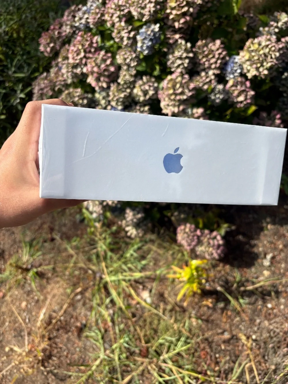 Apple AirPods Max 2 - Blue